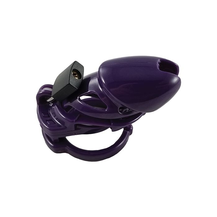 Locked In Lust The Vice Standard - Purple