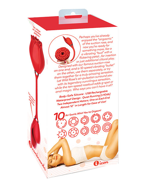 IBIC1703