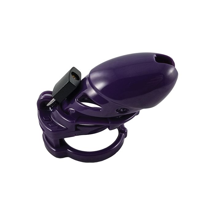 Locked In Lust The Vice Plus - Purple