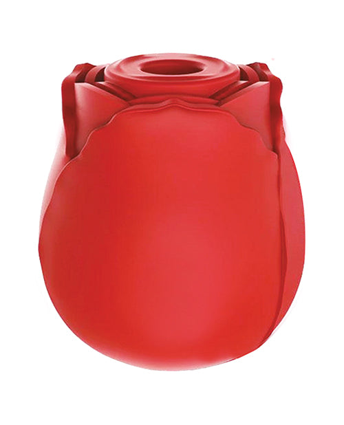 IBIC1700