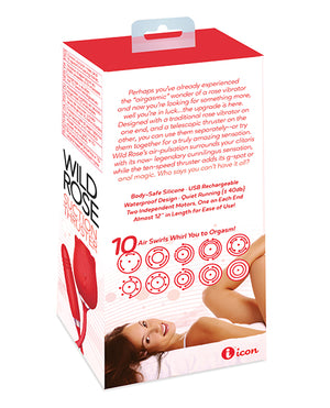 IBIC1702