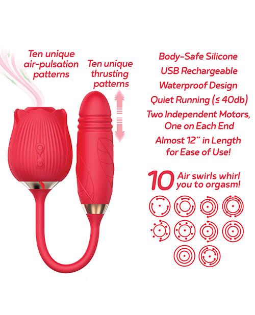 IBIC1702