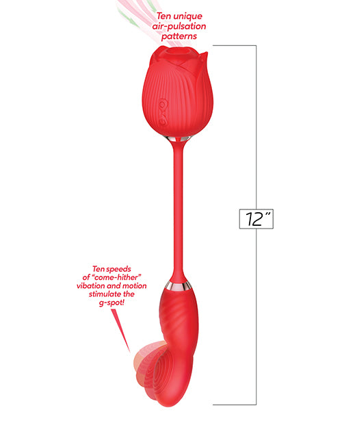 IBIC1707
