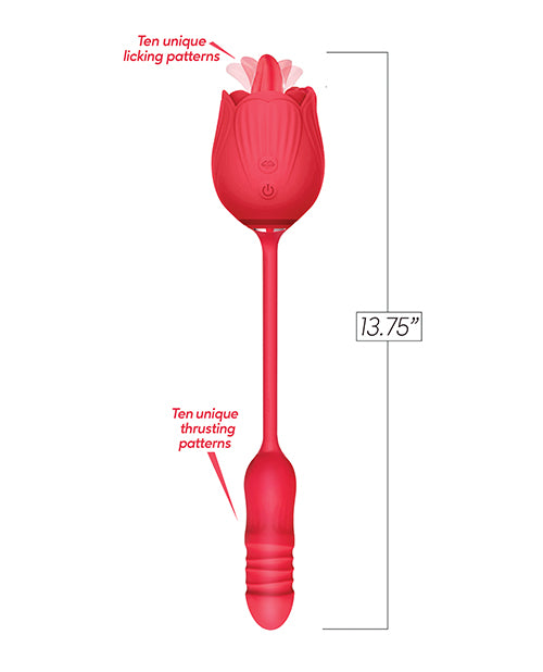 IBIC1708